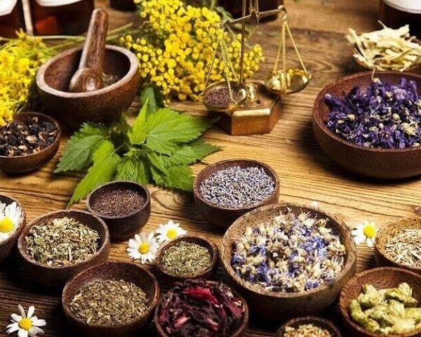 گیاهان تقویت کننده مغز را بشناسید