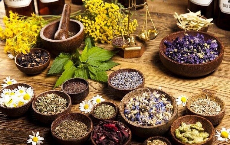 گیاهان تقویت کننده مغز را بشناسید