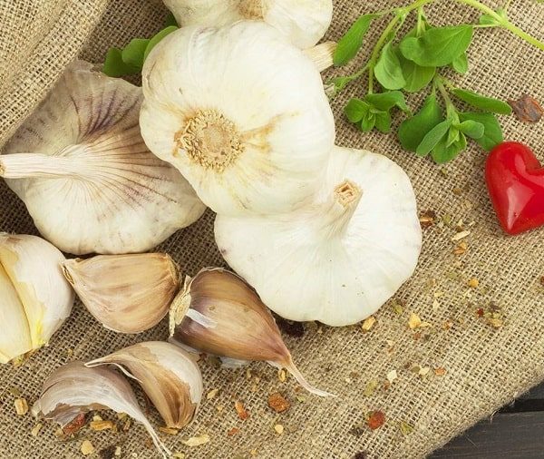 چه گیاهانی به کاهش فشار خون کمک می کنند؟