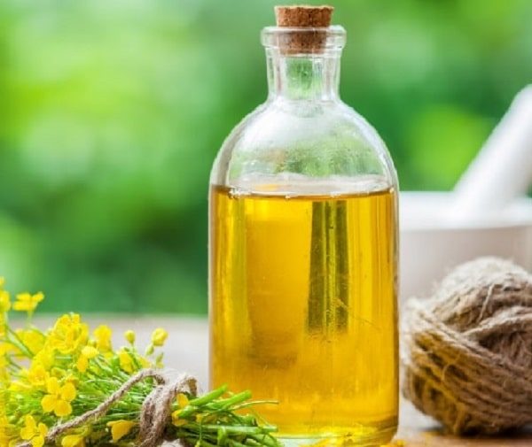 روغن های گیاهی برای مو