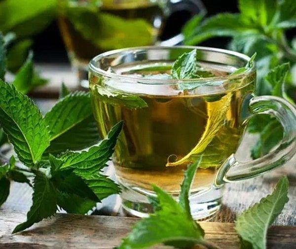 درمان سنگ صفرا با گیاهان دارویی