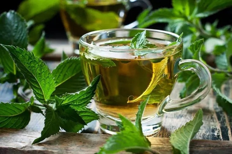 درمان سنگ صفرا با گیاهان دارویی